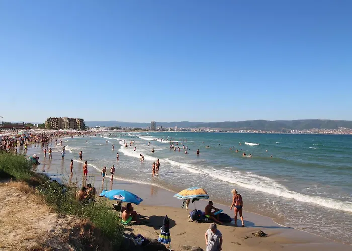 Amadeus I B31 Sunny Slantchev Briag